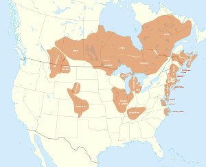 Algonquian language map with states and provinces.svg