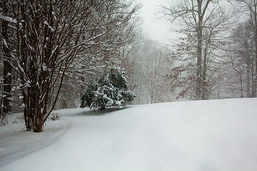 snowstorm (december 2009)