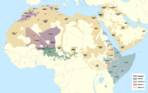 Detailed Afroasiatic map.svg