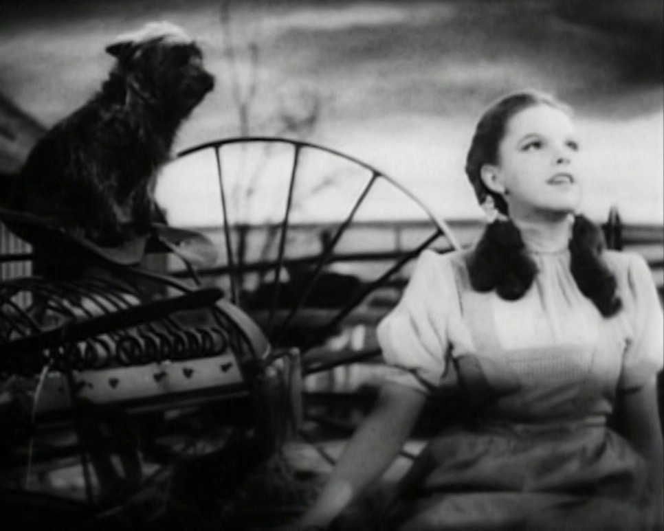 Judy Garland Over the Rainbow 2.jpg