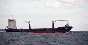 Container ship Reecon Whale on Black Sea near Constanța Romania.jpg