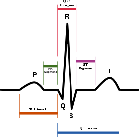 SinusRhythmLabels.svg