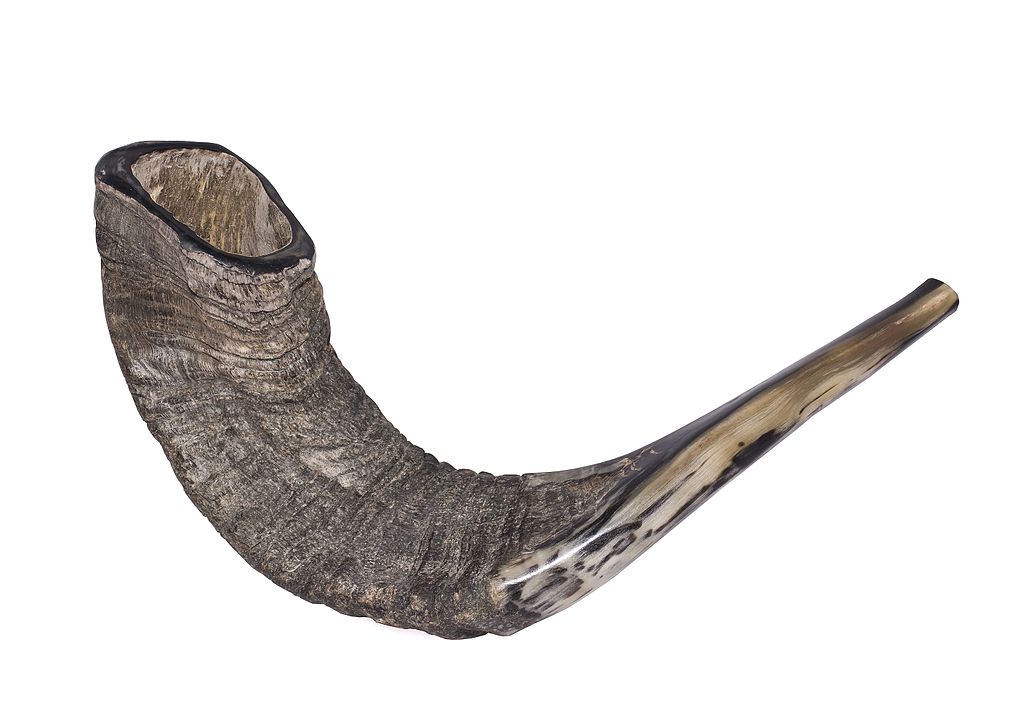 Shofar-16-Zachi-Evenor.jpg